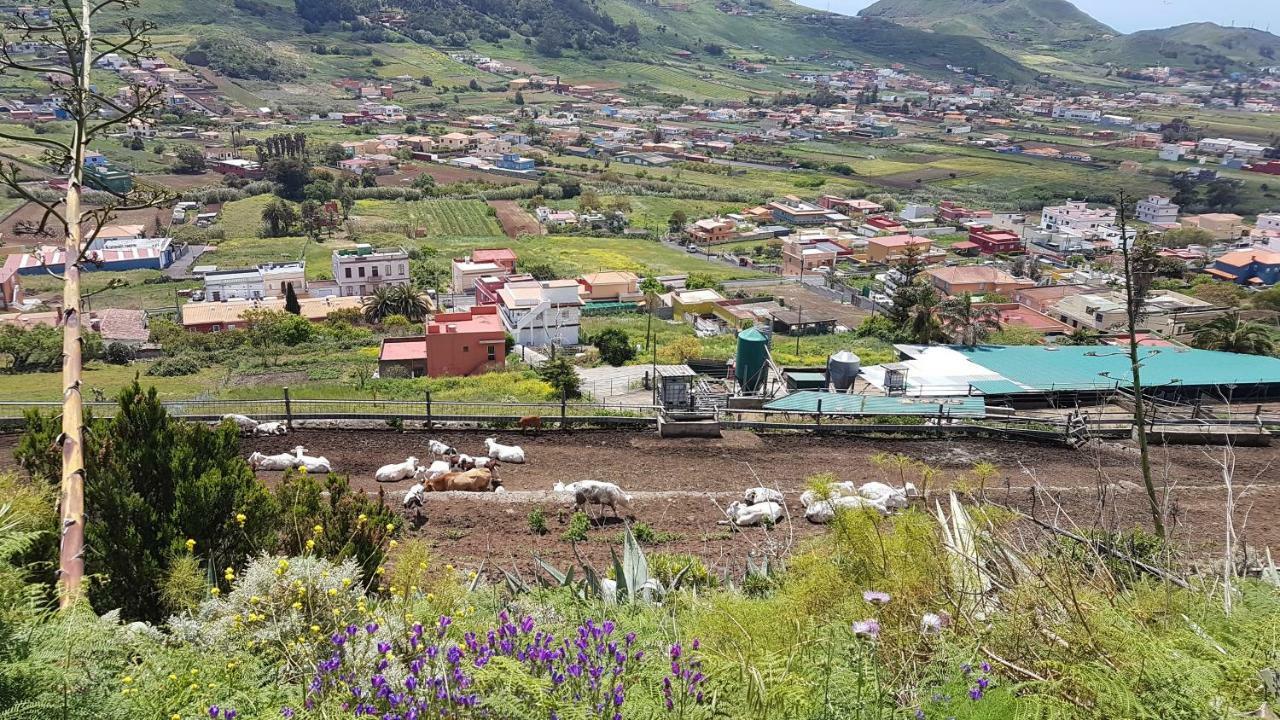 La Casita De Omar En El Corazon De Anaga Y La Laguna Las Mercedes Exterior foto